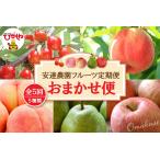 果物類 さくらんぼ 2027年 5回定期便