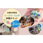 体験チケット ビーチコーミング体験 2名様