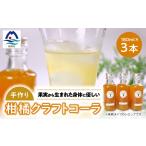果汁飲料 みかん 果実から生まれた身体に優しいコーラ