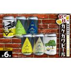 ビール 地ビール カケガワビール6本セット