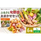 野菜類 季節の旬野菜 おまかせセット 6種