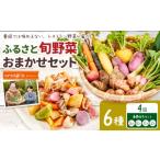 野菜類 季節の旬野菜 おまかせセット 6種