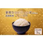 米 コシヒカリ 4回定期便 令和8年産 白米 5kg