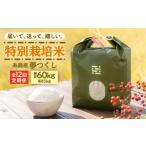 米 黒箱 全12回定期便 とくべつの中のとくべつ