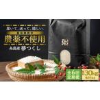 農薬を使わずに育てた 山つき 5kg