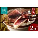 函館産 特大真いか 一夜干し 2枚セット いか
