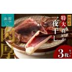 ふるさと納税 干物 イカ 北海道 函館市 イチヨ水産 一夜干しいか1枚（函館産） いか イカ 烏賊 干物 つまみ いか天 イカ天 冷凍 北海道 函館 はこだて_HD010-0…