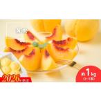 ふるさと納税 もも 福�