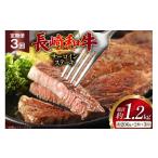 AJ529 長崎和牛 サーロイン ステーキ 約400g