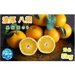 ふるさと納税 みかん・柑橘類 和歌山県 由良町 八朔 秀品 5kg サイズおまかせ（L〜M） 2026年2月中旬頃から4月下旬発送予定 ／ 柑橘 八朔 秀品 フルーツ くだ…