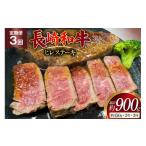 牛肉 ヒレ AJ535 3回定期便 長崎和牛