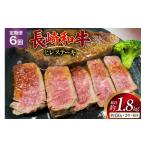 牛肉 ヒレ AJ536 6回定期便 長崎和牛