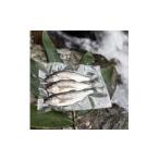 旬の鮮魚等 渓流の女王 アマゴ 冷凍24尾入り