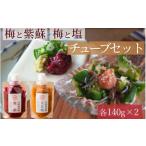 無添加 紀州南高梅の梅チューブ140g×2本セット