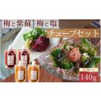 無添加 紀州南高梅の梅チューブ140g×4本セット
