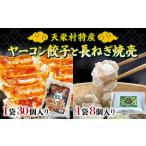 特産 ヤーコン餃子1袋 30個入り