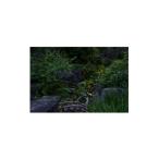 家具 天理の風景5 THE GARDEN OF