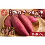 野菜類 サツマイモ 2027年1月 訳あり