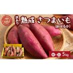 野菜類 サツマイモ 2027年1月 訳あり