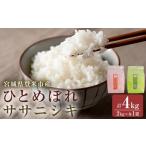 ふるさと納税 米 ひと�