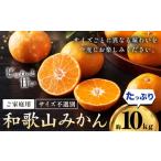 果物類 みかん みかん王国和歌山よりお届け