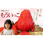 いちご もういっこ 銚子産 大粒 苺 イチゴ 2027年1月下旬~4…