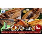 干物 ホッケ 網走加工の一夜干しセット 5種B