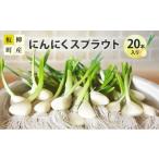 fu.... налог приправа * трава Aomori префектура доска . блок чеснок ростки 20 шт. входит .