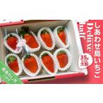 ふるさと納税 いちご 兵庫県 南あわじ市 しあわせ島いちごデラックスハーフ(DXh)