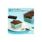 菓子 プリン チョコミン党に捧ぐ チョコミント