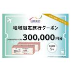 宿泊券 日本旅行地域 旅行クーポン300 000円分