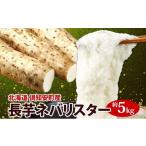 人参 大根 他根菜 2026年 出荷 ネバリスター 計5kg