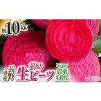 野菜類 訳あり ビーツ 約10kg
