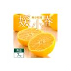 ふるさと納税 みかん・柑橘類 愛媛県 八幡浜市 媛小春 7kg 愛媛県 八幡浜市 西宇和地区 希少な幻の柑橘 黄色いみかん G25-346 1715611