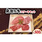 牛肉 ステーキ 鳥取和牛ステーキセット 500g