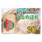 ふるさと納税 米 ひと�
