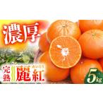 果物類 みかん 麗紅 れいこう 約5kg