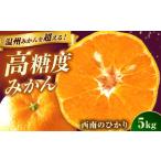 果物類 みかん 西南のひかり 約5kg