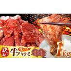 ふるさと納税 牛肉 焼肉・バーベキュー 岐阜県 御嵩町  6月発送 訳あり×大容量 ハラミ 味付け 1kg (250g×4パック) 岐阜県 御嵩町 馬力家 ／ 牛肉 ハラミ 牛…