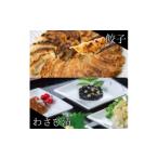 ふるさと納税 餃子 静岡県 磐田市 葱塩餃子 & わさび漬セット ― 和の晩酌ギフト 複数個口で配送 4014713
