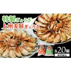 惣菜 レトルト 冷凍 餃子 上州麦豚ぎょうざ