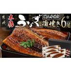うなぎ 職人手焼きの本格うなぎ蒲焼き6尾