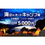 入場券 優待券 キャンプ場利用券5 000円分
