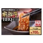 牛肉 焼肉 バーベキュー 飛騨牛BBQセット