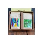 ふるさと納税 コーヒー コーヒー粉 大阪府 富田林市  粉:2種計400g 自家焙煎コーヒー粉(200g×2)　里山ROASTERYお楽しみセット 1695713