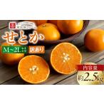 訳あり せとか 2.5kg