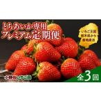いちご 定期便3ヶ月 とちあいか専用 プレミアム定期便