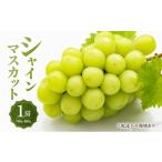 ふるさと納税 ぶどう マスカット 岡山県 瀬戸内市 ぶどう 2026年 先行予約 シャイン マスカット 1房 700g〜800g 大粒 種無し ブドウ 葡萄 岡山県産 国産 フル…