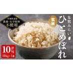 ふるさと納税 米 ひと�