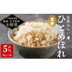 ふるさと納税 米 ひと�